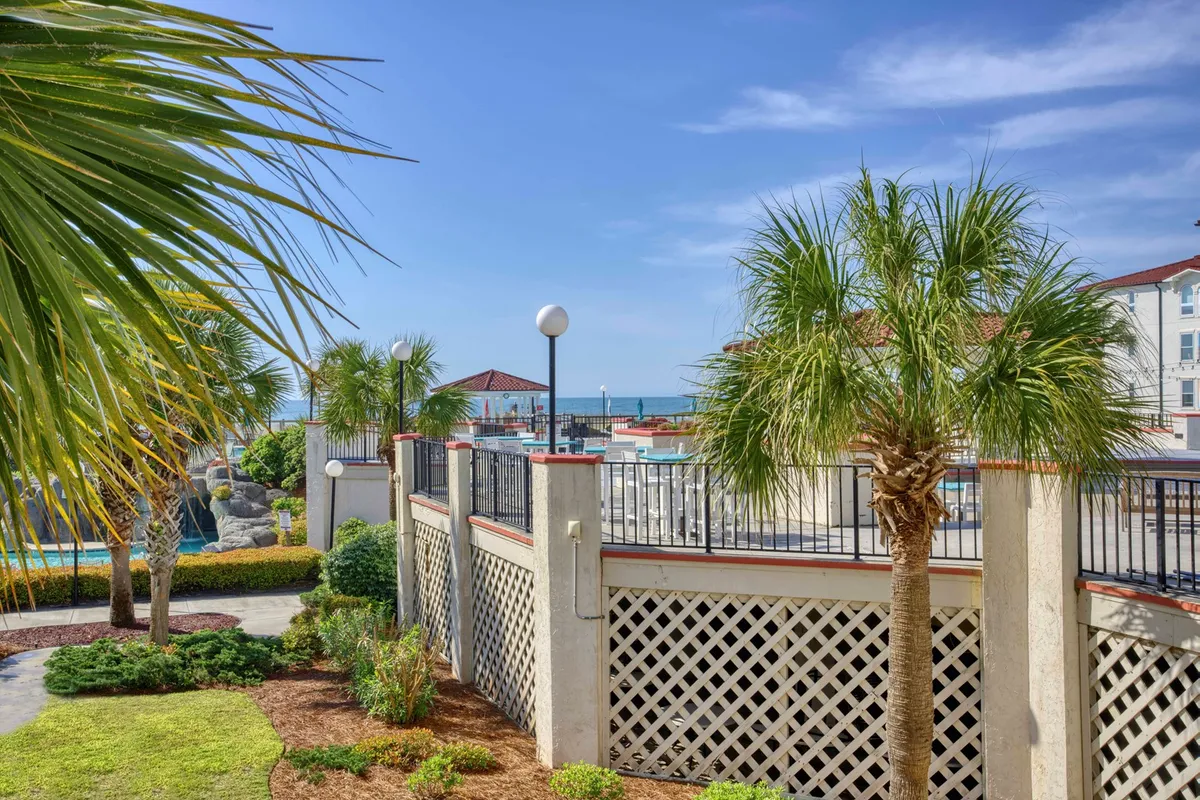 A panoramic exterior view of the swimming pool area, framed by palm trees with the ocean visible in the background. The lattice wall and open sky create a relaxed, cheerful atmosphere, inviting moments of reflection or social gathering by the water.